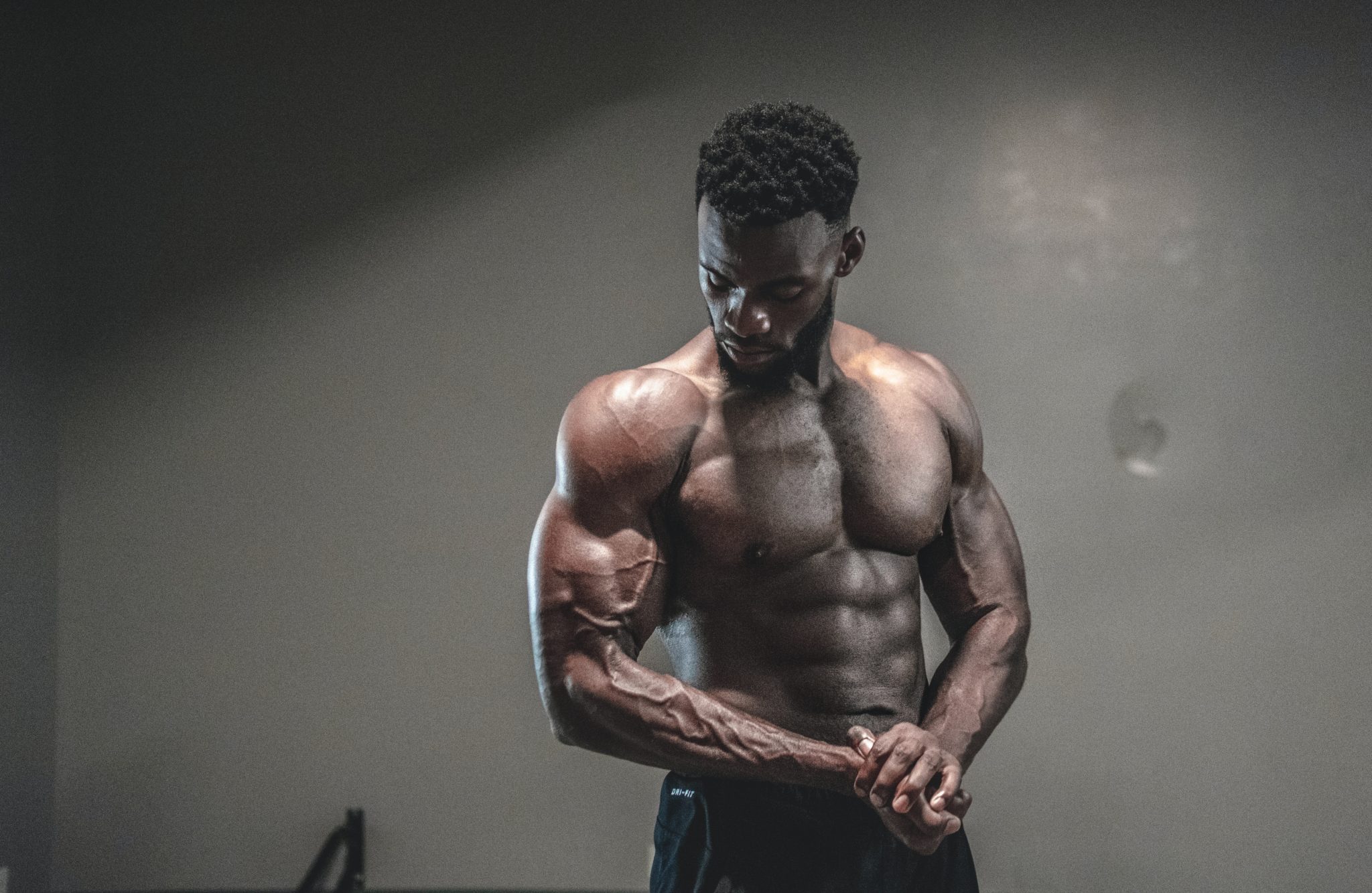 Stronggains Alles für deine Gains